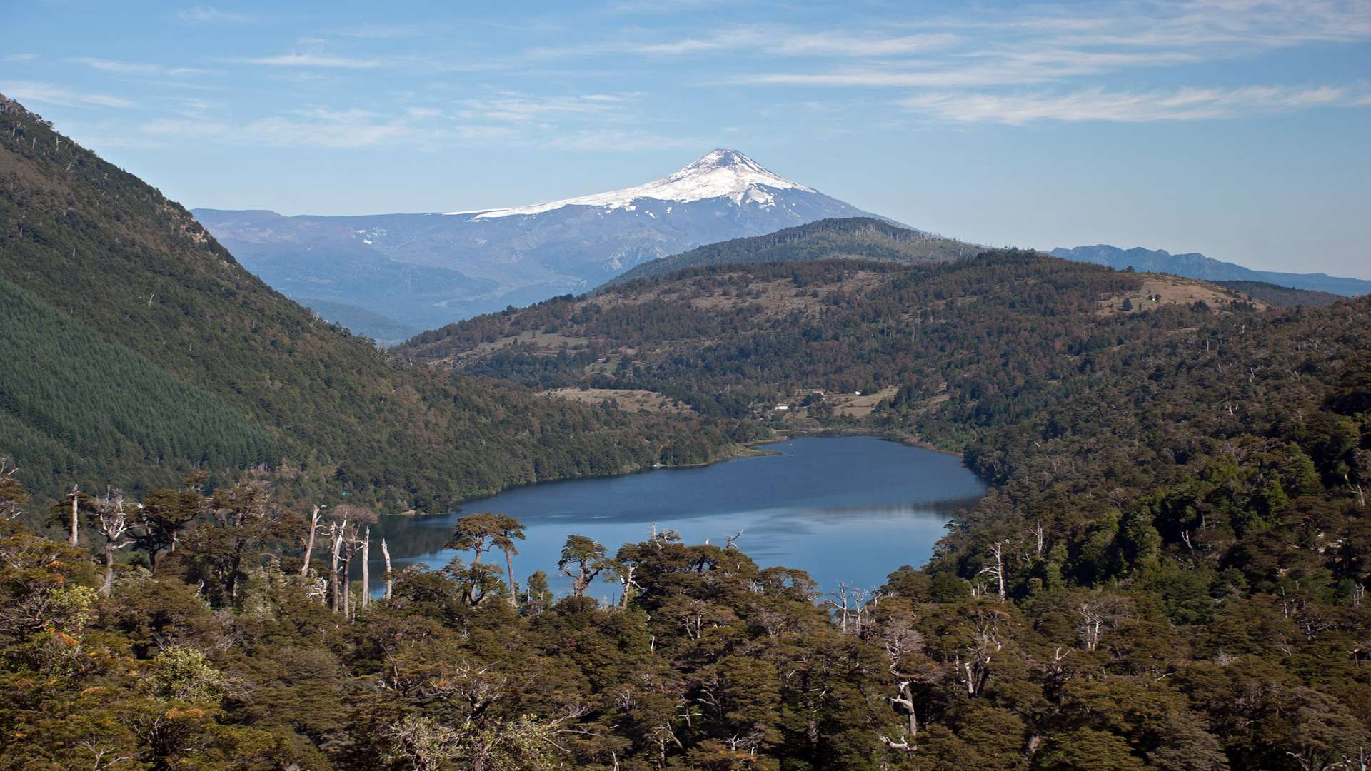 Lago y bosque nativo en los alrededores de Pucón, La Araucanía