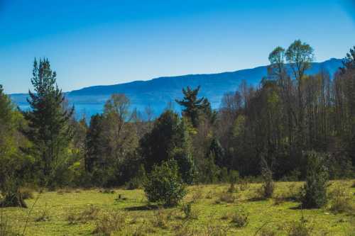 Venta Exclusivas Parcelas en Campo Candelaria — Camino al Volcán, Pucón