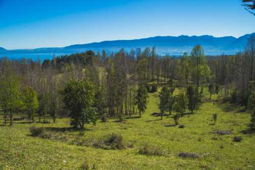 Venta Exclusivas Parcelas en Campo Candelaria — Camino al Volcán, Pucón