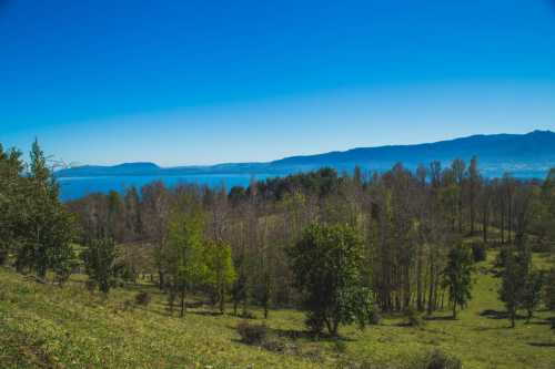 Venta Exclusivas Parcelas en Campo Candelaria — Camino al Volcán, Pucón