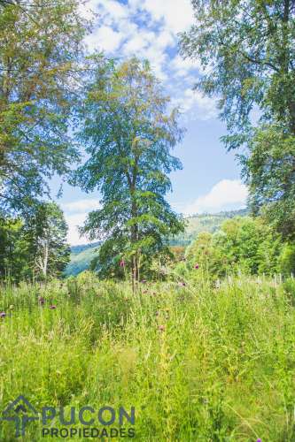 Venta Campo Panqui 9,7 Hectáreas — Panqui, Curarrehue