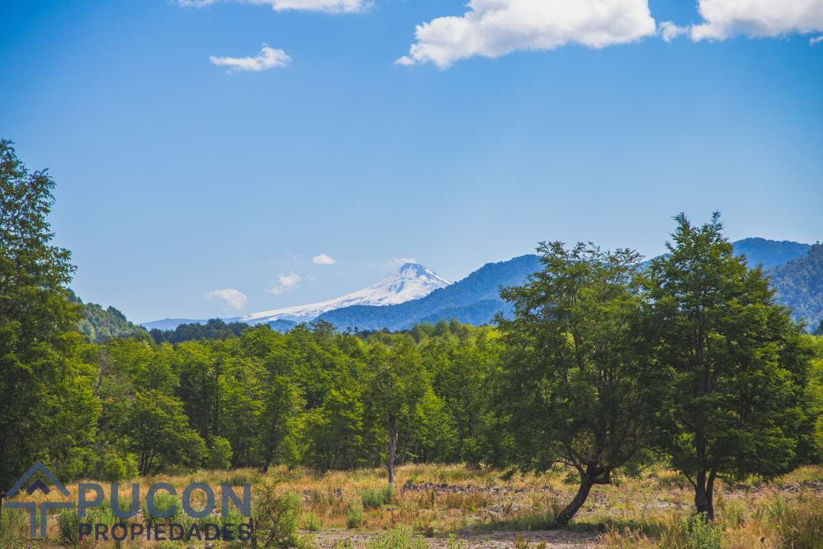 Venta Campo Panqui 9,7 Hectáreas — Panqui, Curarrehue