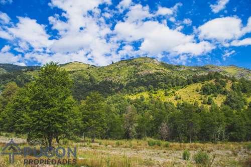 Venta Campo Panqui 9,7 Hectáreas — Panqui, Curarrehue