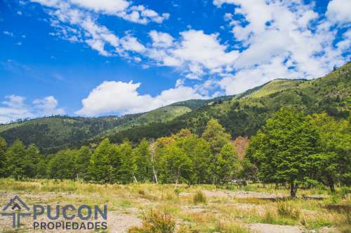 Venta Campo Panqui 9,7 Hectáreas — Panqui, Curarrehue