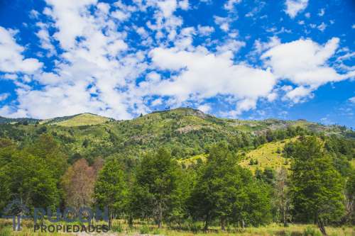 Venta Campo Panqui 9,7 Hectáreas — Panqui, Curarrehue