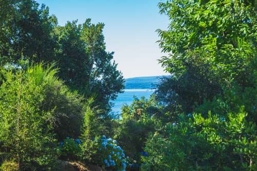 Venta 3,9 hectáreas con orilla de lago Villarrica 6 UF/M2 — Camino Villarrica - Pucón, Villarrica