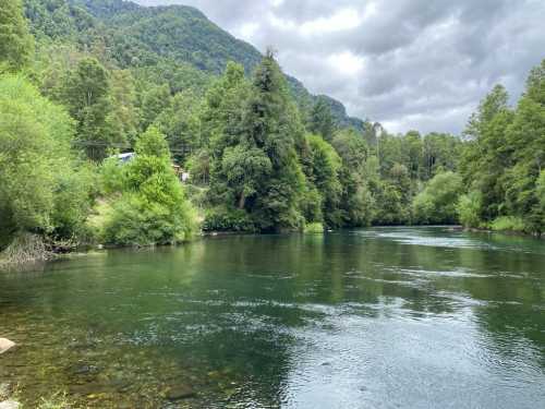 Venta Parcelas El Remanso del Liucura — Carhuello, Pucón