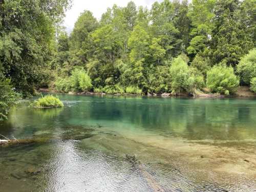 Venta Parcelas El Remanso del Liucura — Carhuello, Pucón