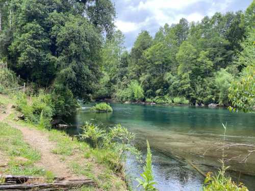 Venta Parcelas El Remanso del Liucura — Carhuello, Pucón