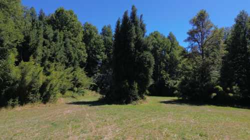 Venta Parcela N°213 en Condominio Trufulco a 25 km de Pucón — Trufulco, Pucón