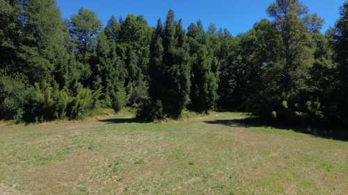 Venta Parcela N°213 en Condominio Trufulco a 25 km de Pucón — Trufulco, Pucón