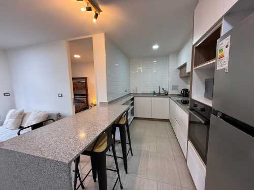 Arriendo Departamento en Condominio Pucón Andino Limited, Torre Los Boldos ID-1917 — Camino al Volcán, Pucón