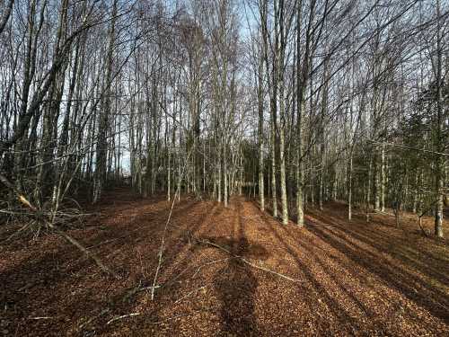 Venta 2 Parcelas en Loteo San Carlos, Piedra Amarilla, Villarrica — Villarrica, Villarrica