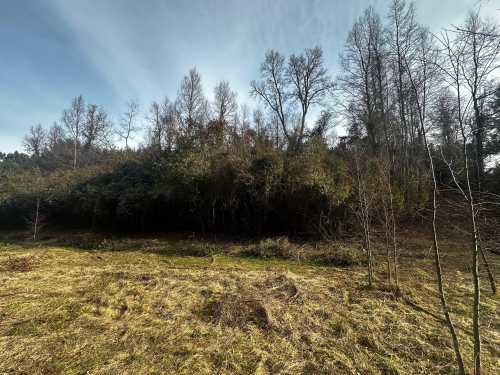 Venta 2 Parcelas en Loteo San Carlos, Piedra Amarilla, Villarrica — Villarrica, Villarrica