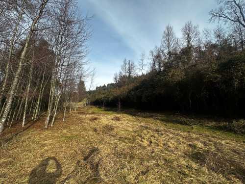 Venta 2 Parcelas en Loteo San Carlos, Piedra Amarilla, Villarrica — Villarrica, Villarrica