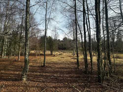 Venta 2 Parcelas en Loteo San Carlos, Piedra Amarilla, Villarrica — Villarrica, Villarrica