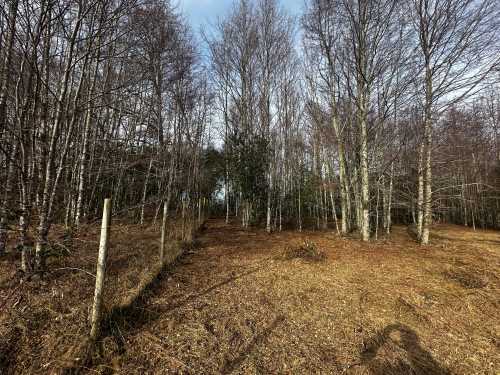 Venta 2 Parcelas en Loteo San Carlos, Piedra Amarilla, Villarrica — Villarrica, Villarrica