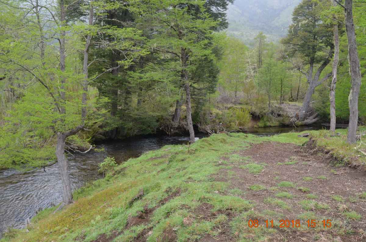 Venta Parcelas en Loteo Rio Panqui, Curarrehue — Panqui, Curarrehue