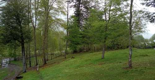 Venta Parcelas en Loteo Rio Panqui, Curarrehue — Panqui, Curarrehue