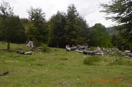 Venta Parcelas en Loteo Rio Panqui, Curarrehue — Panqui, Curarrehue