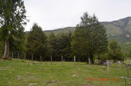 Venta Parcelas en Loteo Rio Panqui, Curarrehue — Panqui, Curarrehue