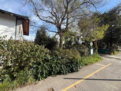 Terreno Apto Comercial, Variante Internacional, Esquina Pasaje Carrillo — Variante Camino Internacional, Pucón