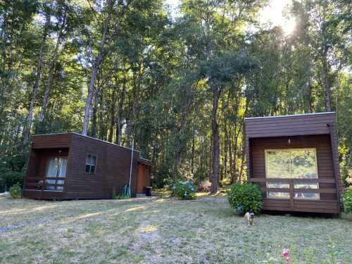 Venta Casa en Parcela más 2 cabañas en sector Quetroleufu, Pucón — Quetroleufu, Pucón