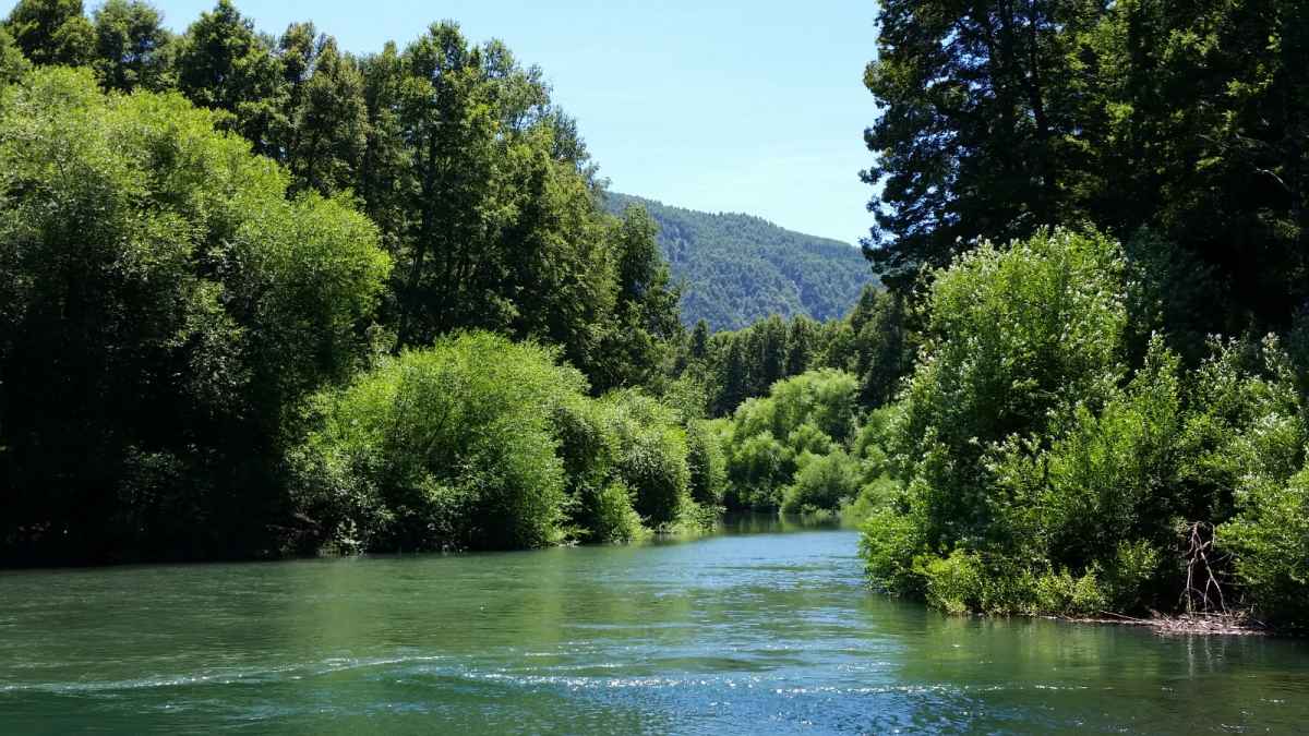 Venta Campo San José - 26 Hectáreas con Orilla de Rio Trancura - Palguín Bajo, Pucón — Camino a Curarrehue, Curarrehue