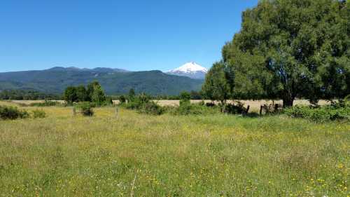 Venta Campo San José - 26 Hectáreas con Orilla de Rio Trancura - Palguín Bajo, Pucón — Camino a Curarrehue, Curarrehue