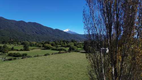 Venta Campo 3.9 ha con Orilla de Estero, Sector Casa de Lata, Camino a Curarrehue — Camino a Curarrehue, Curarrehue