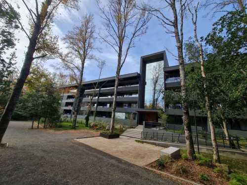 Arriendo Departamento N°111 en Condominio Pucón Andino Limited, Torre Los Boldos — Camino al Volcán, Pucón