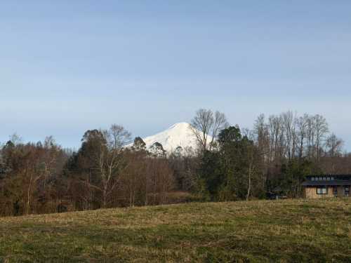Venta Campo de 2,7 hectáreas en Candelaria, Pucón — Camino Villarrica - Pucón, Villarrica